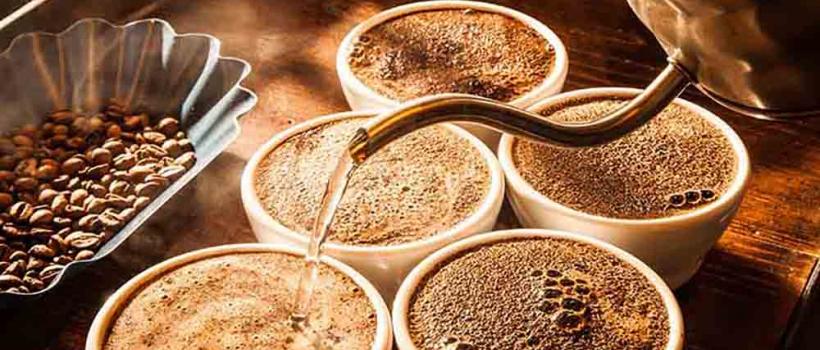 Arabica Coffee 