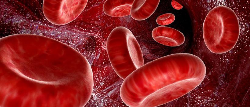  Artificial Blood Market
