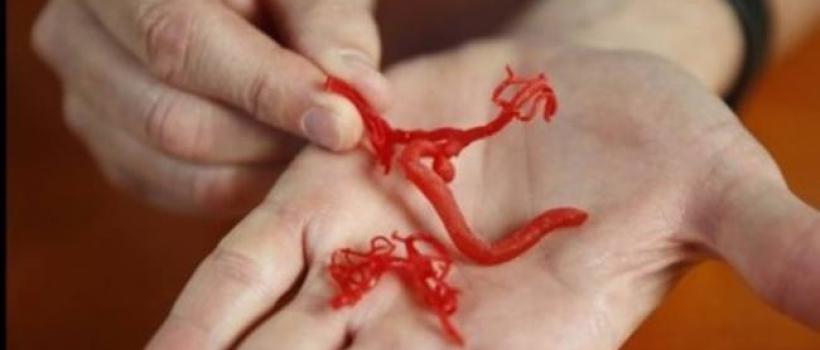 Artificial Blood Vessel