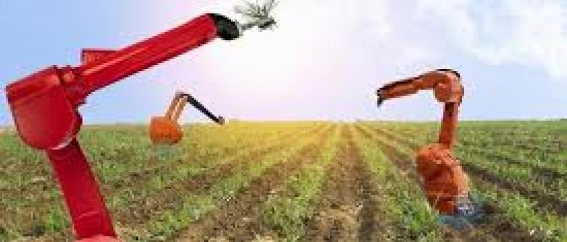 Artificial Intelligence (AI) in Agriculture Market