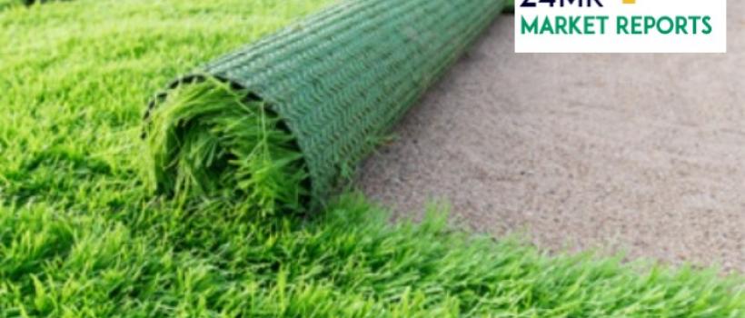 Artificial Turf 