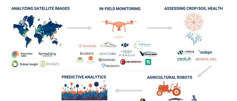 Artificial Intelligence in Agriculture