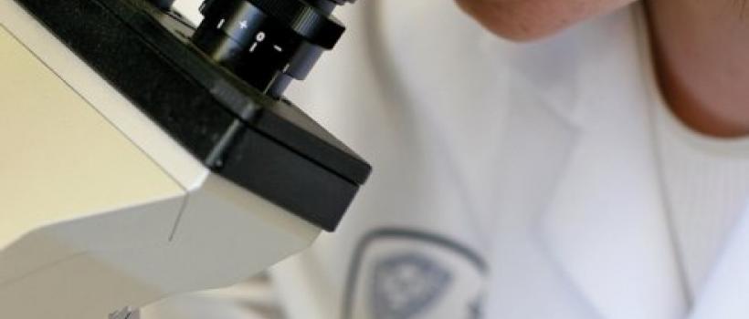 Aryl Hydrocarbon Receptor,  Aryl Hydrocarbon Receptor Market,  Aryl Hydrocarbon Receptor Market Growth,  Aryl Hydrocarbon Receptor Market Size,   Aryl Hydrocarbon Receptor Market Share