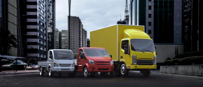 Asia Light Duty Vehicles Industry