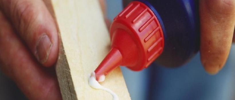 Asia PVA Glues Industry
