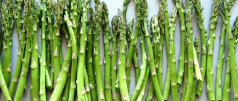 Asparagus Market poised to progress steadily at 4% CAGR by 2031