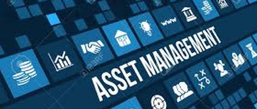 Asset Management Software 
