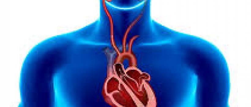 Atrial Fibrillation Devices