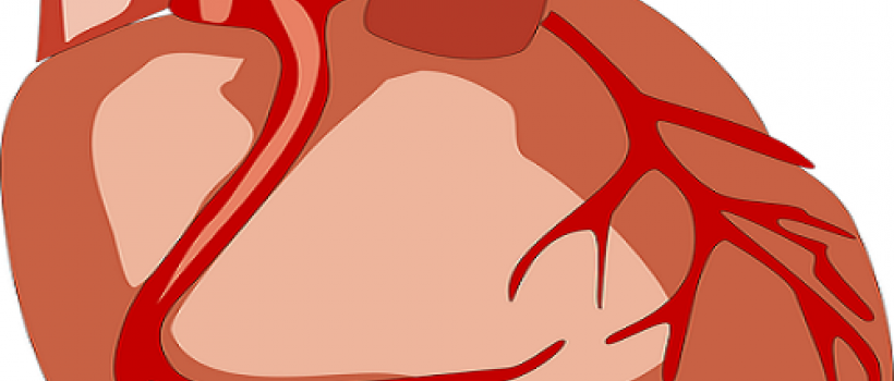 Atrial Fibrillation Market