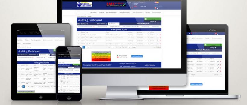 Audit Software 