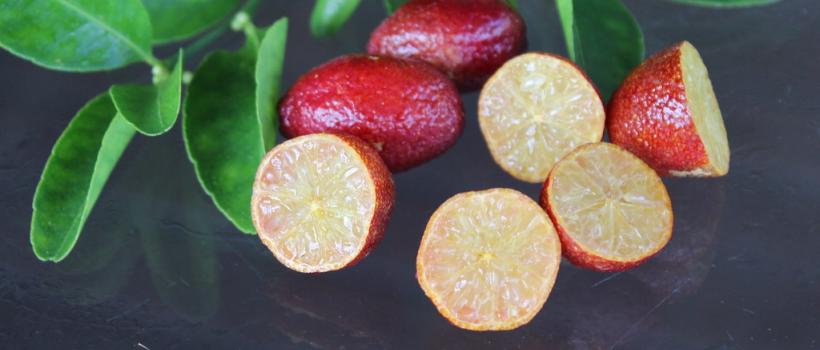 Australia Lime Market