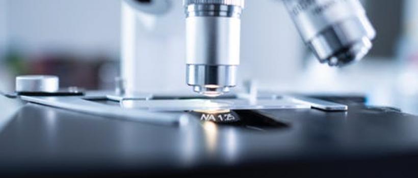 Autologous Biologics Market