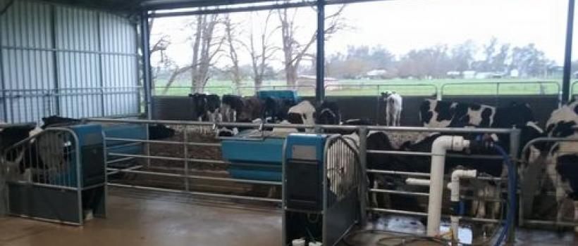 Automated Feeding Systems Market