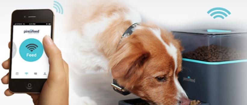 Automatic and Smart Pet Feeder Market 