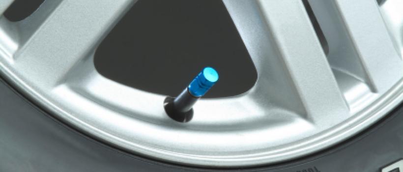 Automotive Tire Valve