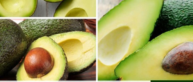 Avocado Market 