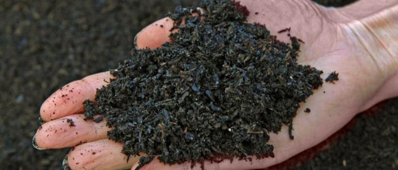 Biochar Market