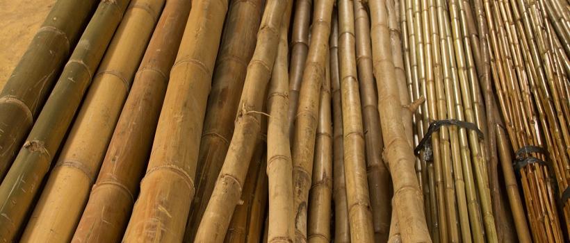 Bamboo Pulp