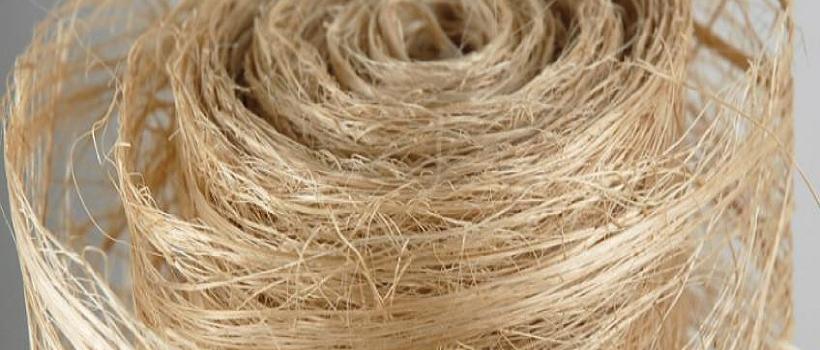 Bamboo Pulp, Bamboo Pulp Market, Bamboo Pulp Market Growth