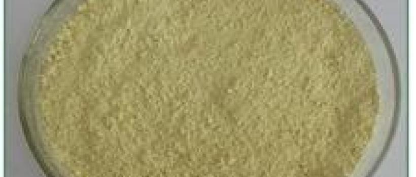 Berberine Hydrogen Sulphate 