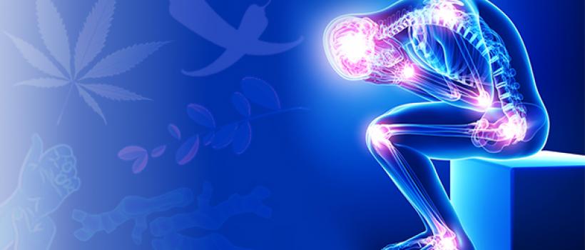 Best Pain Management Clinics in Dwarka 