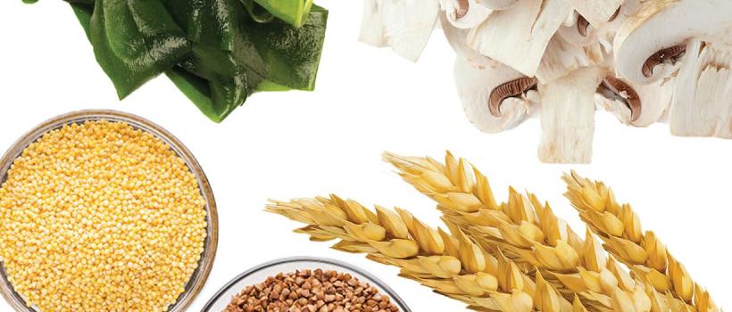 Beta Glucan Market
