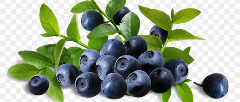 Bilberry Extract