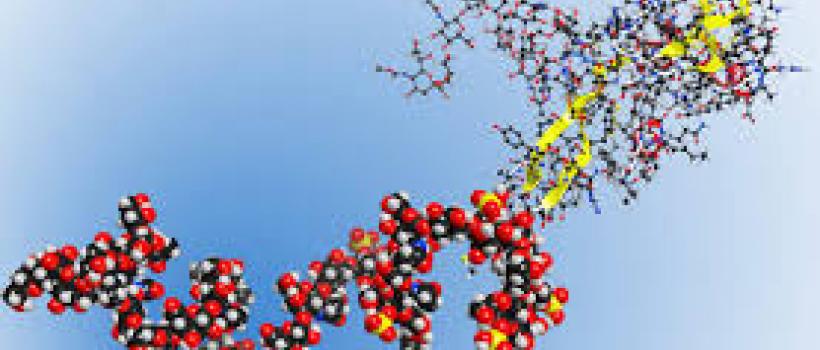 Global Bio Polymers Market