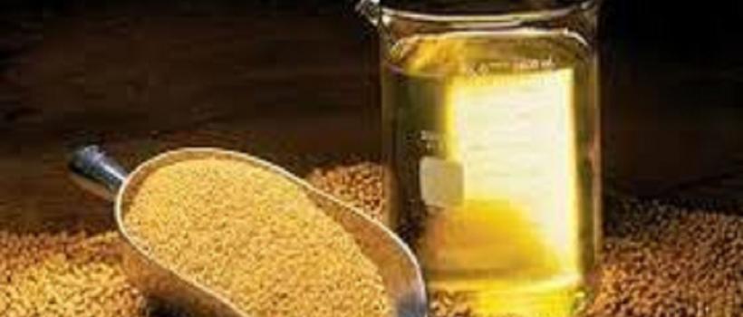 Bio-Based Adipic Acids Industry