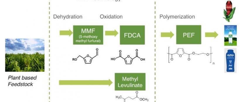 Bio-Based PET Market
