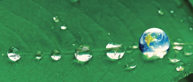 Bio-based Polymers, Bio-based Polymers Market, Bio-based Polymers Market Growth