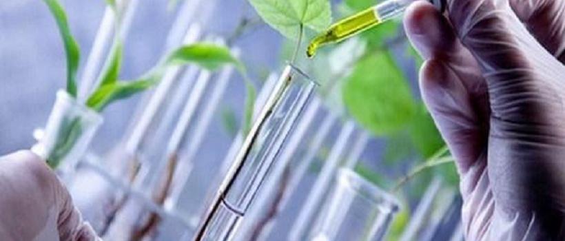 Bio-based Polypropylene (PP), Bio-based Polypropylene (PP) Market, Bio-based Polypropylene (PP) Market Growth