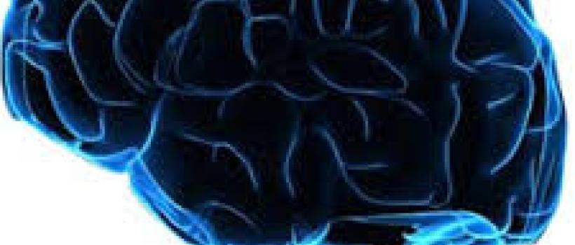  Bio-imaging Technologies