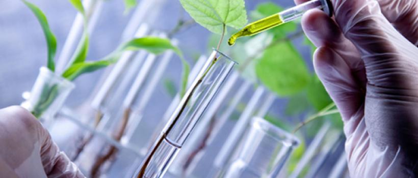 Bio-pharma Sales Market