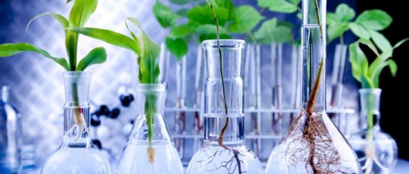 Bio-succinic Acid Market 