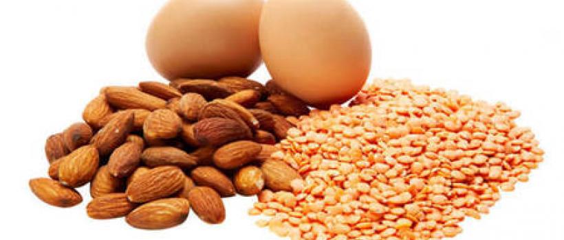 Bioactive Protein Market
