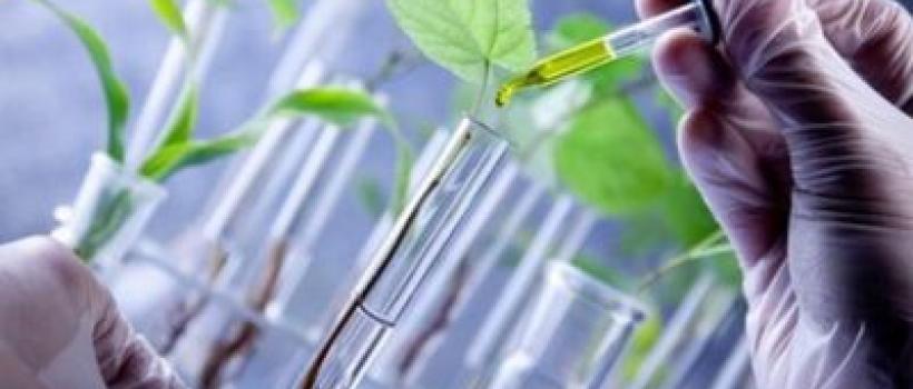 Biobased Polyethylene Terephthalate (PET)