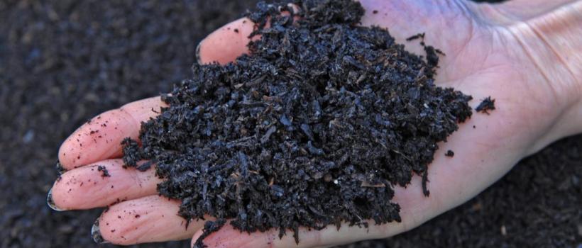 Biochar Market