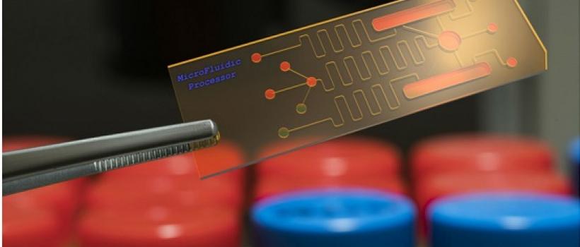 Biochip