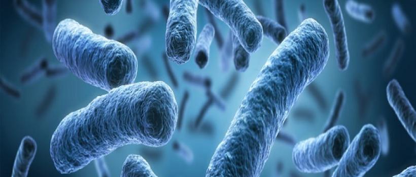 Biocides and Disinfectants, Biocides and Disinfectants Market, Biocides and Disinfectants Market Growth