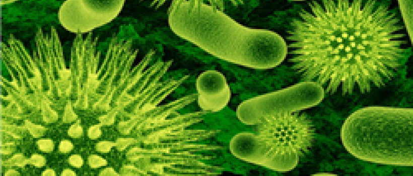 Biocides Market