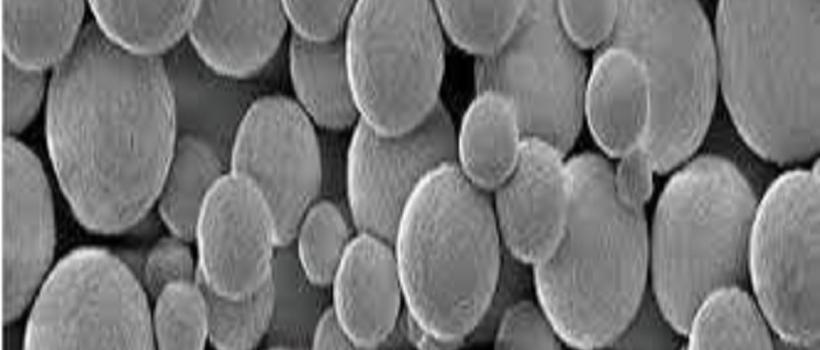  Biodegradable Microsphere 