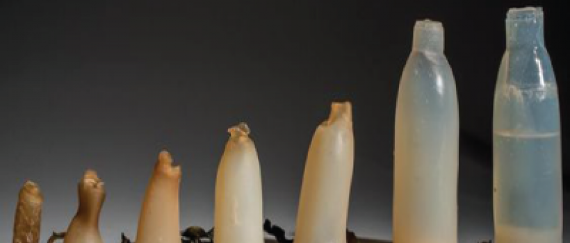 Biodegradable Plastics 