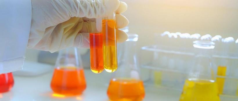 Biodiesel Catalyst Market