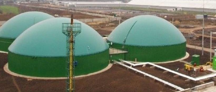 Biogas Power Plants