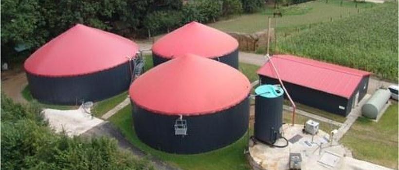 Biogas Power 