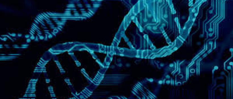 Bioinformatics Services