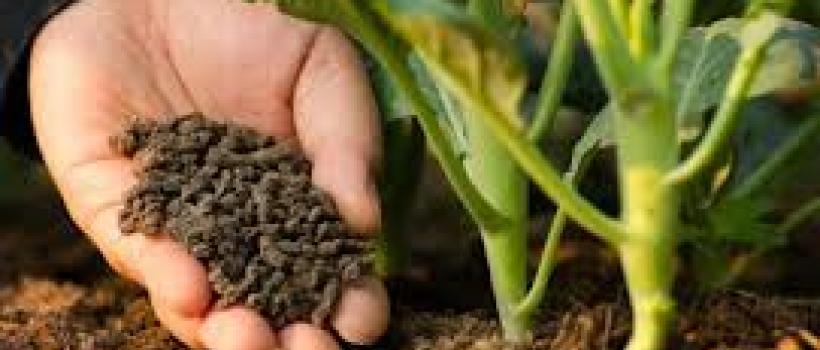 Biological Organic Fertilizers