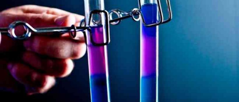 Biologics Safety Testing Market