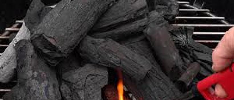 Biomass Charcoal